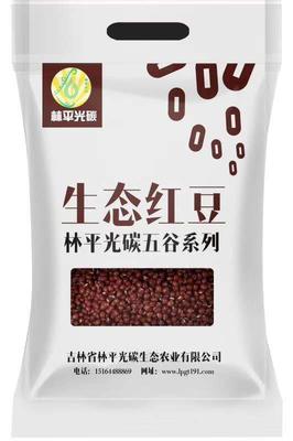 生态红豆