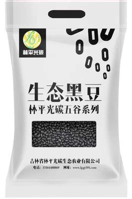生态黑豆